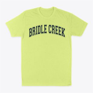 Bridle Creek Elementary School Varsity Arch Classic Dad T-Shirt