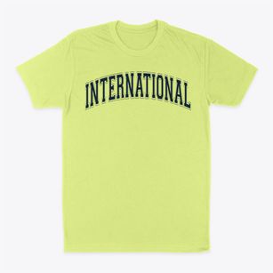 International Community School Varsity Arch Classic Dad T-Shirt