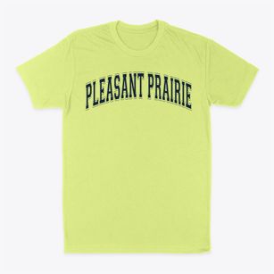 Pleasant Prairie Elementary School Varsity Arch Classic Dad T-Shirt