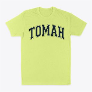 Tomah High School Varsity Arch Classic Dad T-Shirt