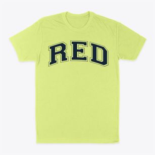 Red Cedar Special Education Center Varsity Arch Classic Dad T-Shirt