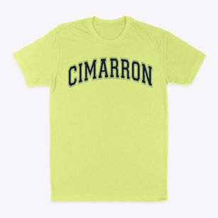 Cimarron Elementary School Varsity Arch Classic Dad T-Shirt