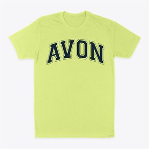 Avon High School Varsity Arch Classic Dad T-Shirt