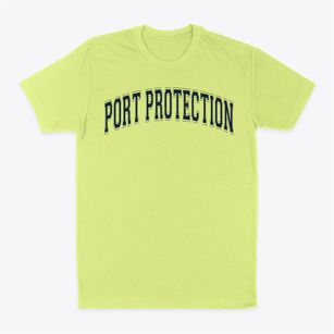 Port Protection Elementary School Varsity Arch Classic Dad T-Shirt