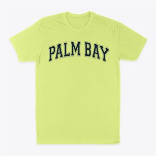 Palm Bay High School Varsity Arch Classic Dad T-Shirt