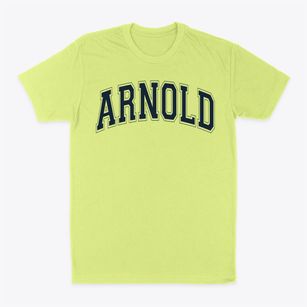 Arnold Elementary School Varsity Arch Classic Dad T-Shirt