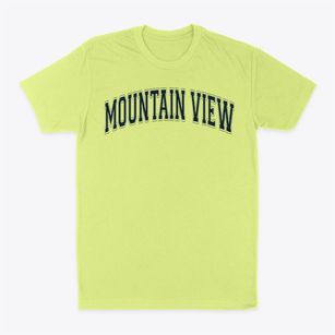 Mountain View Elementary School Varsity Arch Classic Dad T-Shirt