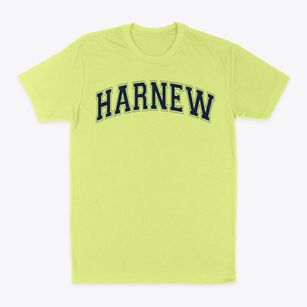 Harnew Elementary School Varsity Arch Classic Dad T-Shirt