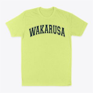 Wakarusa Elementary School Varsity Arch Classic Dad T-Shirt
