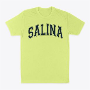 Salina Christian Academy Varsity Arch Classic Dad T-Shirt