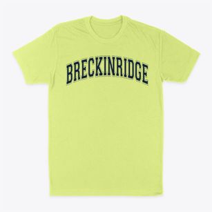 Breckinridge Elementary School Varsity Arch Classic Dad T-Shirt
