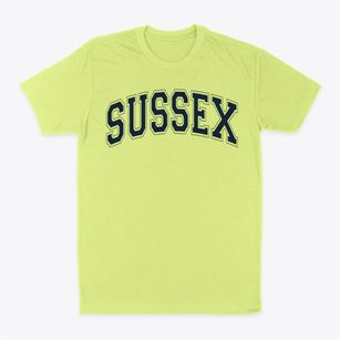 Sussex Elementary School Varsity Arch Classic Dad T-Shirt