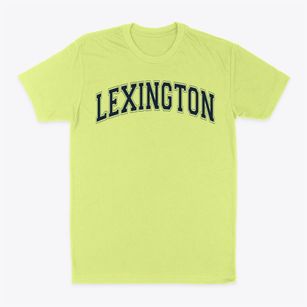 Lexington Montessori School Varsity Arch Classic Dad T-Shirt