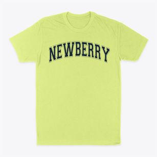 Newberry Elementary School Varsity Arch Classic Dad T-Shirt