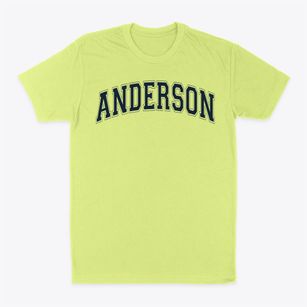Anderson Middle School Varsity Arch Classic Dad T-Shirt