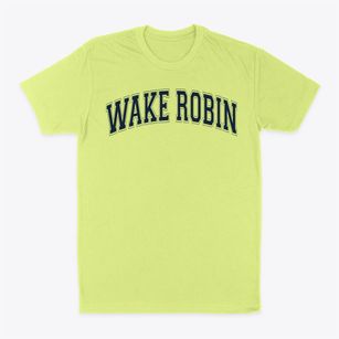 Wake Robin Elementary School Varsity Arch Classic Dad T-Shirt
