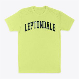 Leptondale Christian Academy Varsity Arch Classic Dad T-Shirt