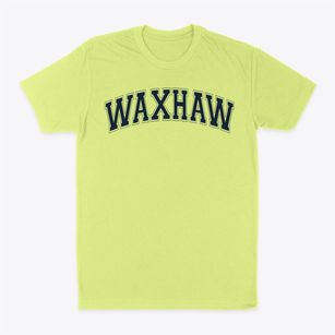 Waxhaw Elementary School Varsity Arch Classic Dad T-Shirt