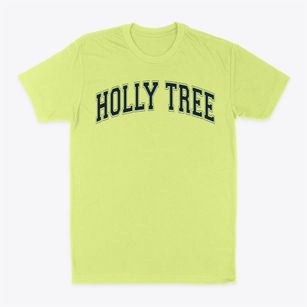 Holly Tree Elementary School Varsity Arch Classic Dad T-Shirt