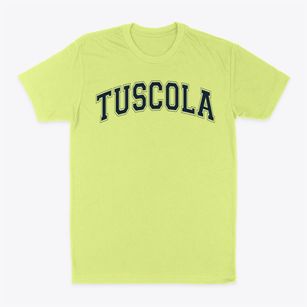 Tuscola High School Varsity Arch Classic Dad T-Shirt