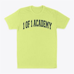 1 Of 1 Academy Red Varsity Arch Classic Dad T-Shirt
