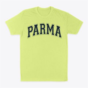 Parma Developmental School Varsity Arch Classic Dad T-Shirt