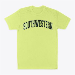 Southwestern Elementary School Varsity Arch Classic Dad T-Shirt