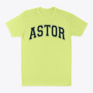 Astor Elementary School Varsity Arch Classic Dad T-Shirt