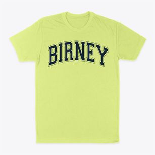 Birney Elementary School Varsity Arch Classic Dad T-Shirt