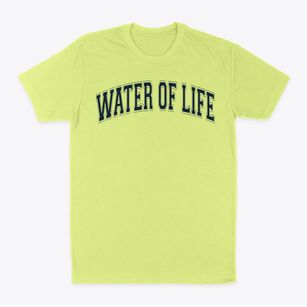 Water Of Life Preschool Varsity Arch Classic Dad T-Shirt