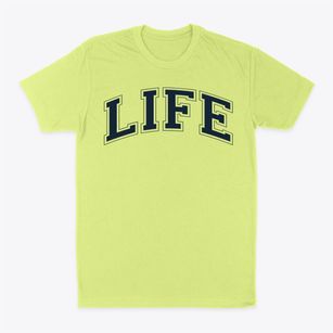 Life Christian Academy Varsity Arch Classic Dad T-Shirt