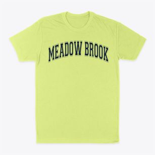 Meadow Brook Elementary School Varsity Arch Classic Dad T-Shirt