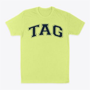 School For The Talented And Gifted Varsity Arch Classic Dad T-Shirt