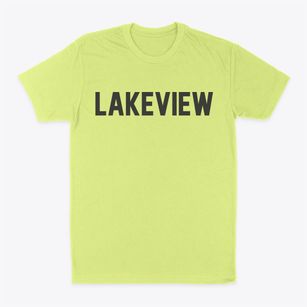 Lakeview New York Classic Block Classic Dad T-Shirt