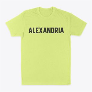 Alexandria Louisiana Classic Block Classic Dad T-Shirt