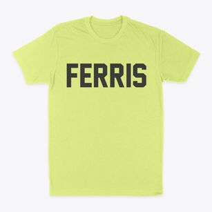 Ferris Texas Classic Block Classic Dad T-Shirt