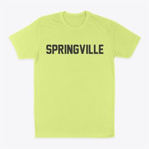 Springville Virginia Classic Block Classic Dad T-Shirt