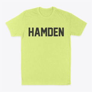 Hamden New York Classic Block Classic Dad T-Shirt