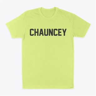Chauncey Ohio Classic Block Classic Dad T-Shirt
