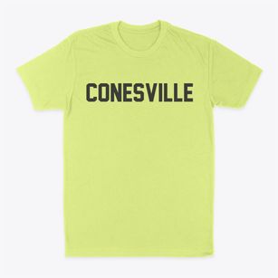 Conesville New York Classic Block Classic Dad T-Shirt