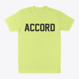 Accord New York Classic Block Classic Dad T-Shirt