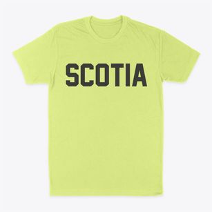Scotia Nebraska Classic Block Classic Dad T-Shirt