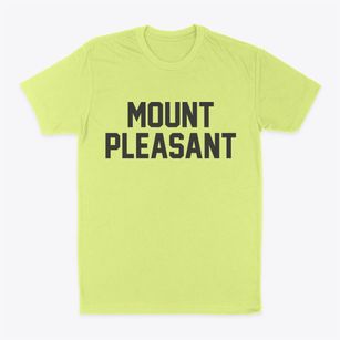 Mount Pleasant South Carolina Classic Block Classic Dad T-Shirt