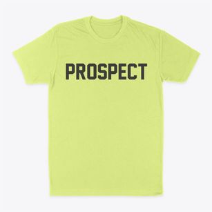 Prospect Connecticut Classic Block Classic Dad T-Shirt