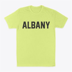 Albany Georgia Classic Block Classic Dad T-Shirt