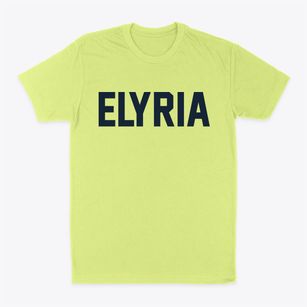 Elyria Ohio Classic Block Classic Dad T-Shirt