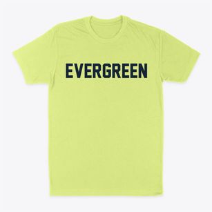 Evergreen Alabama Classic Block Classic Dad T-Shirt