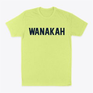 Wanakah New York Classic Block Classic Dad T-Shirt