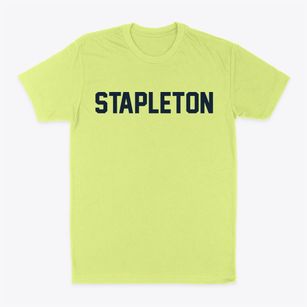 Stapleton Alabama Classic Block Classic Dad T-Shirt