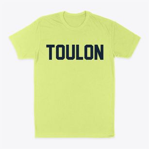 Toulon Illinois Classic Block Classic Dad T-Shirt